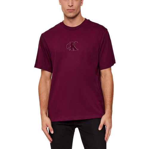 Calvin Klein Ανδρική κοντομάνικη μπλούζα Easy Tee